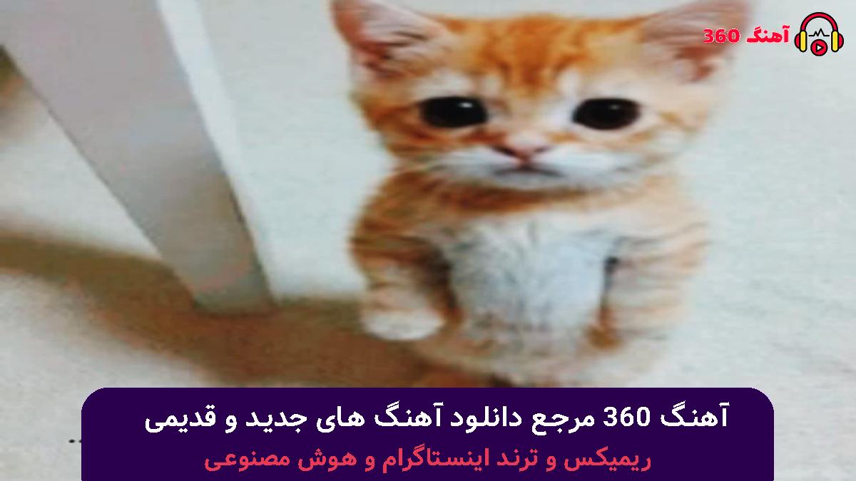 کاور آهنگ عکس با صدای امیر آیهان