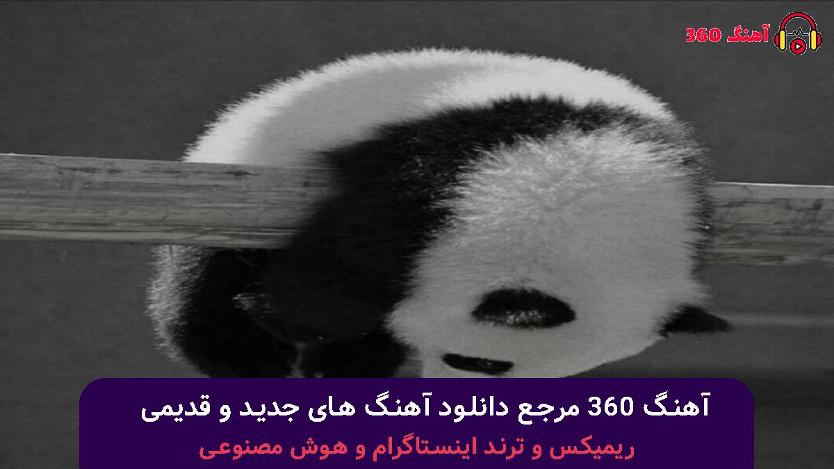 کاور آهنگ دخترم با صدای آبراهام