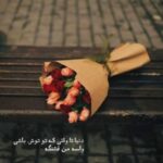 دانلود آهنگ نیستی تایپم یکم من وایبم یه روز اسپرایت + پخش انلاین ترانه شنیدنی